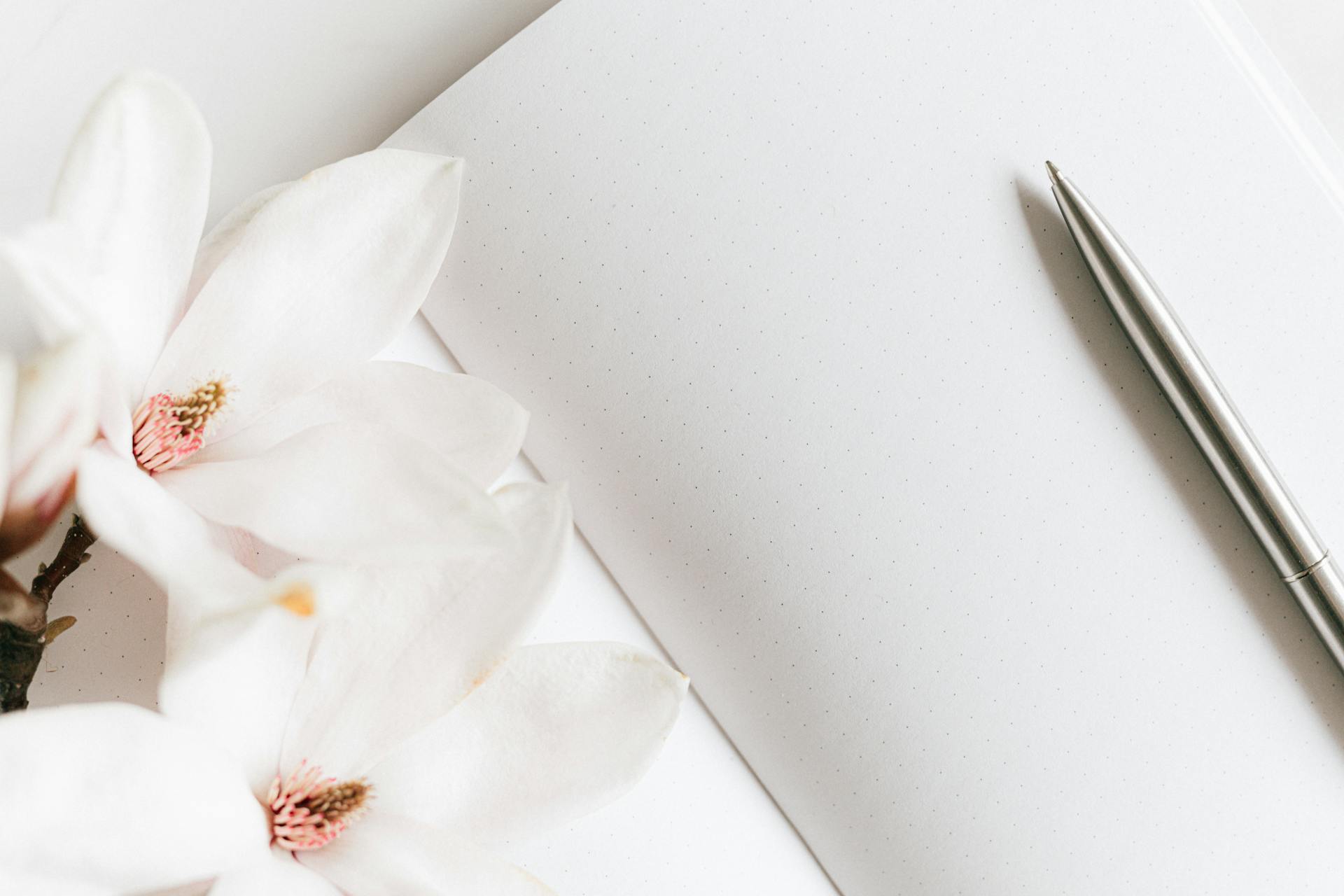 Top view composition of opened notebook with blank white sheets arranged with silver pen and lush blooming white Magnolia flower on white table