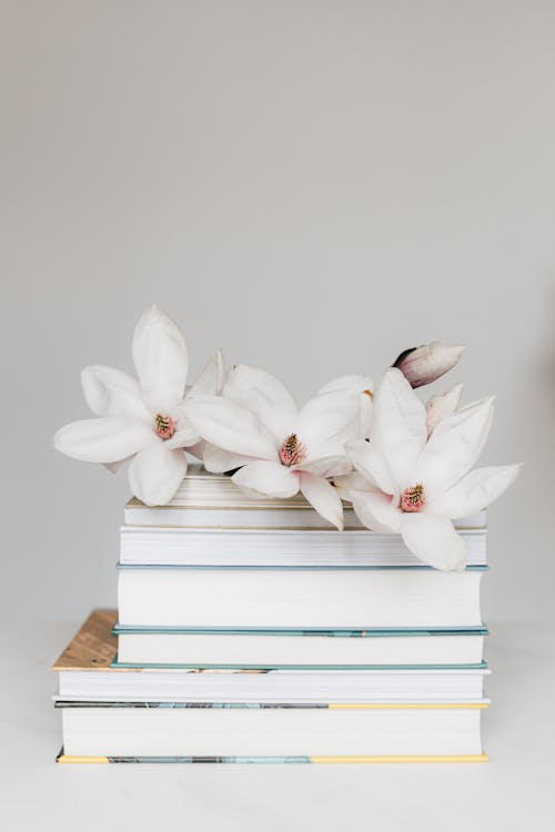 Stack of books with Magnolia flower on white table