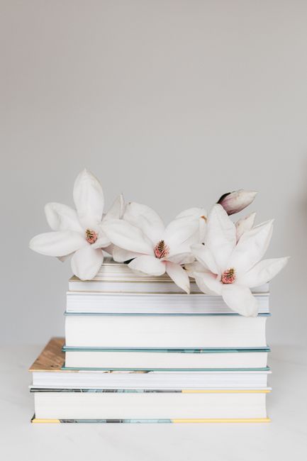 Collection of books composed with white fragrant delicate Magnolia flowers placed on white table against light plain wall