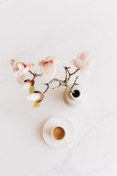 Top view composition with white minimalist ceramic vase with delicate light pink blooming flowers near cup of hot aromatic espresso on white saucer placed on marble table