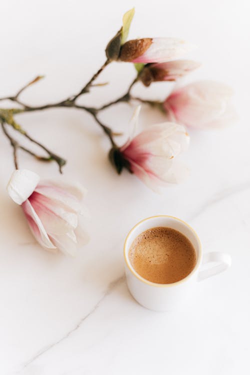 Free From above of cup of coffee and branch of tender fragrant Magnolia blossoms on white marble table Stock Photo