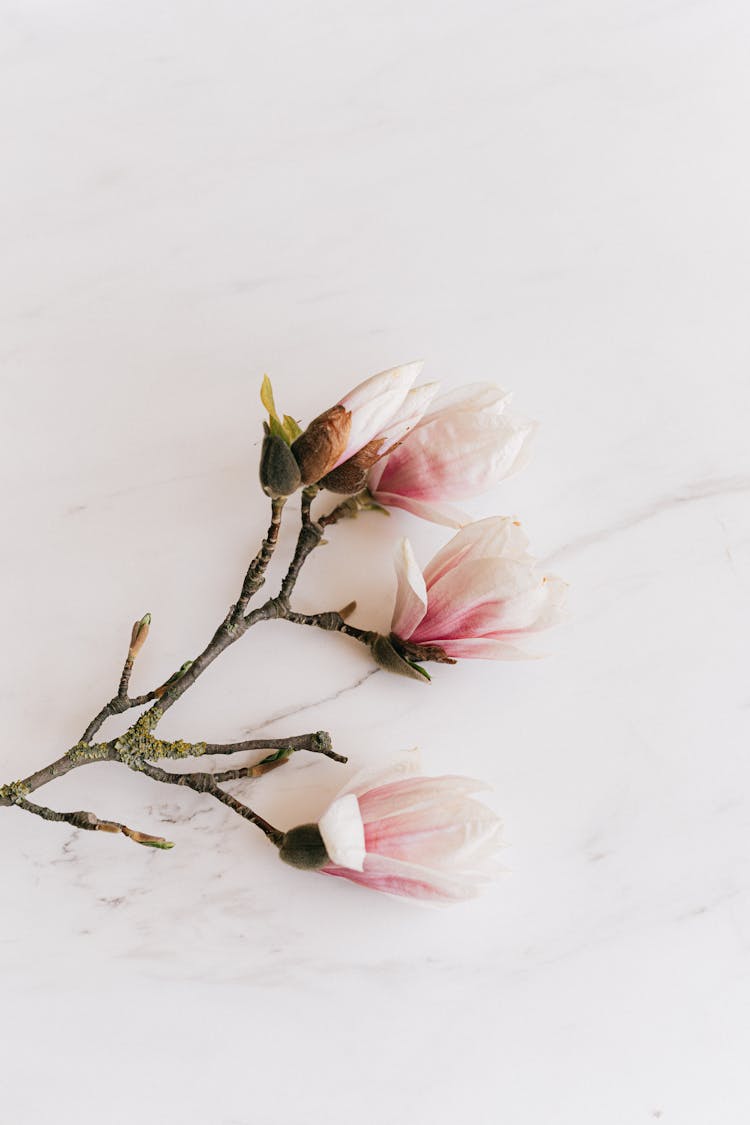 Flowers On A Marble Surface