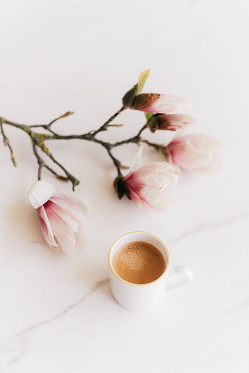 Free Cup of coffee and blooming branch Stock Photo