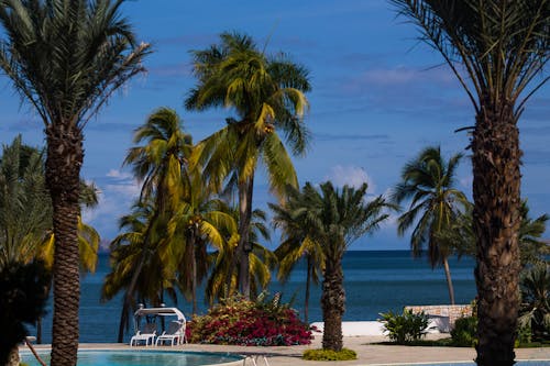 Бесплатное стоковое фото с береговая линия, карибское море, летняя атмосфера