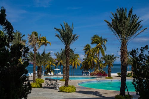 Fotos de stock gratuitas de jardin tropical, línea de costa, mar caribe