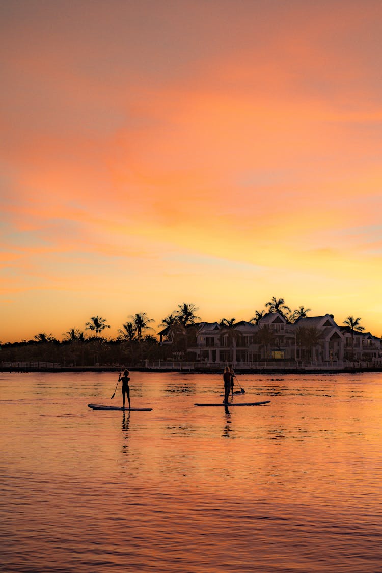 Silhouettes Of Unrecognizable Couple Practicing Sup Board On Lake