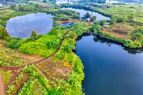 Aerial Footage of Countryside 