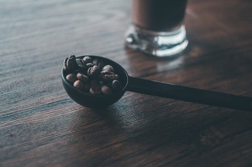 Gratis arkivbilde med aromatisk, coffea arabica, kaffebønner
