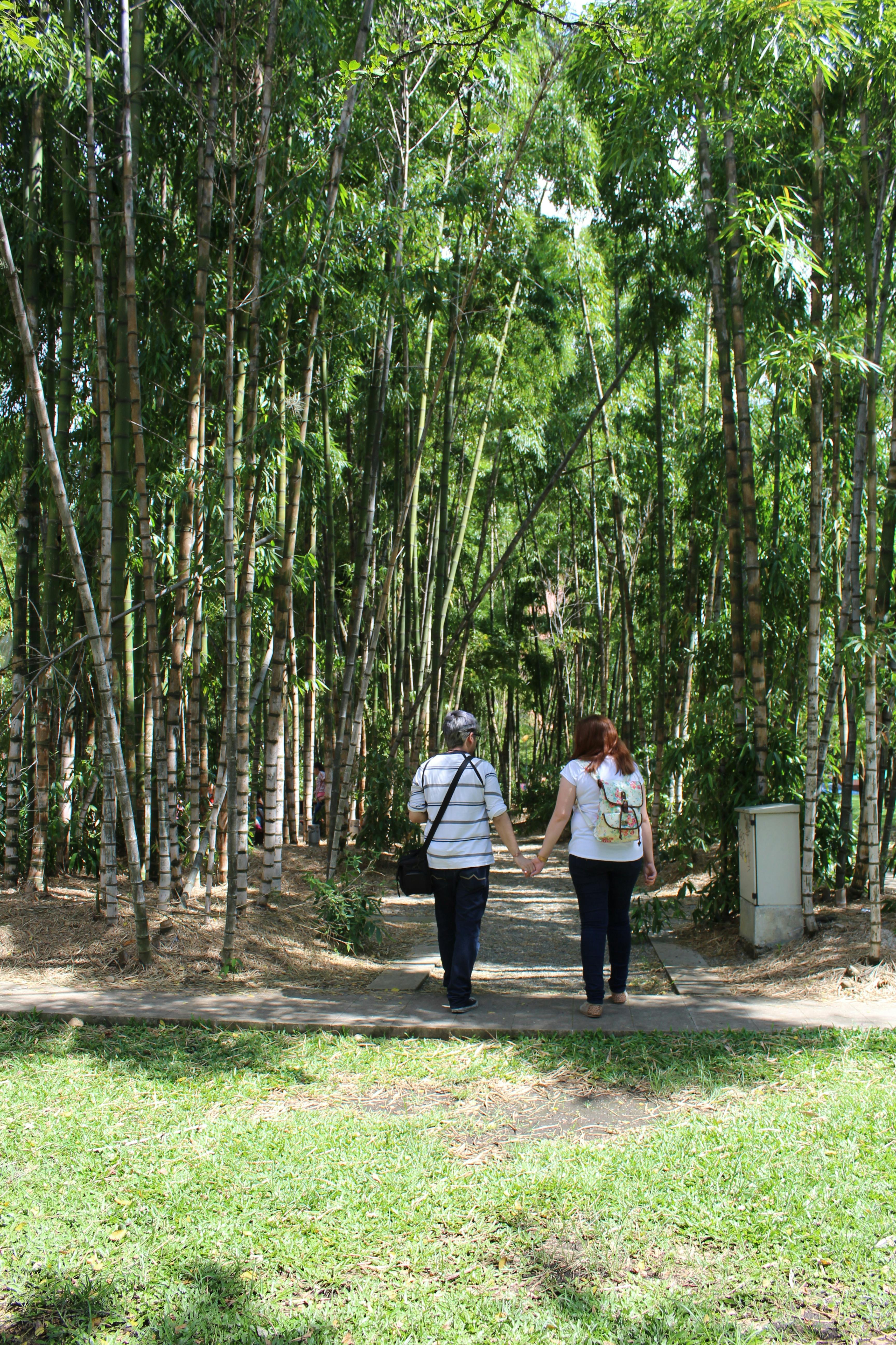 Small Skip Hire in Tang