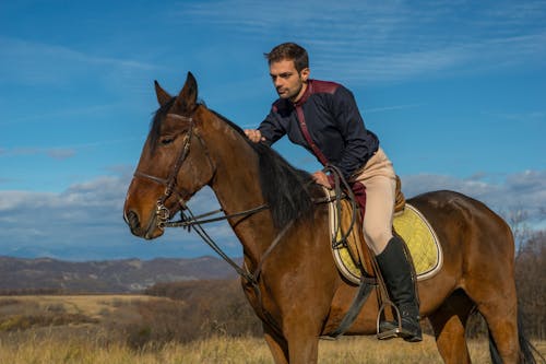 Man riding a Brown Horse