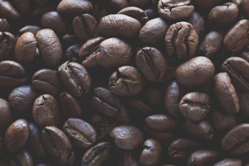 Foto d'estoc gratuïta de grano de cafè, hora de cafè