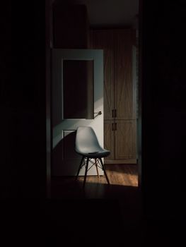 Empty modern chair on shiny parquet near open door and closet in dark classic style flat
