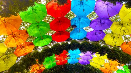 Free stock photo of beautiful, blue color, colourful umbrellas Stock Photo