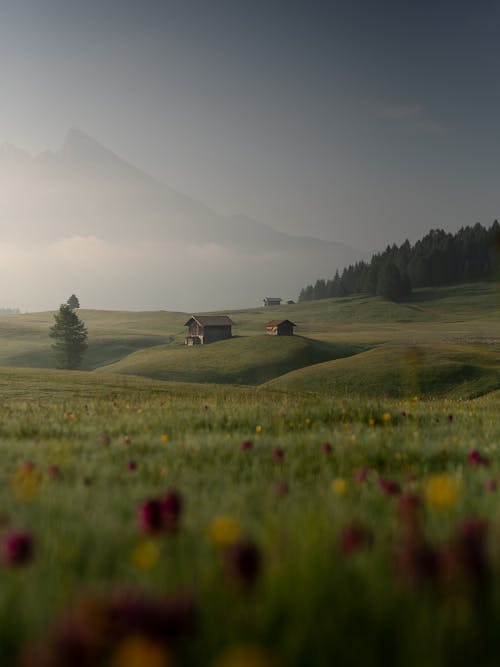 Aged rural buildings on grass hills behind mount and trees in mist under cloudy sky