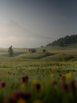 Aged rural buildings on grass hills behind mount and trees in mist under cloudy sky with the Quote "Become the kind of leader that people would follow voluntarily, even if you had no title or position." written on it and have average color value #5B5A48