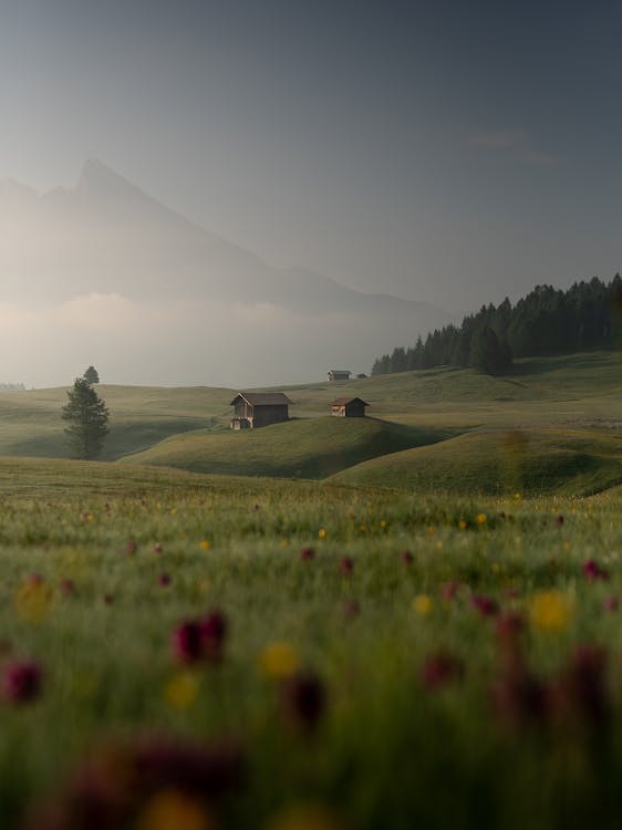 Vecchie Case Sulla Collina Verde Dietro La Montagna Nebbiosa In Serata