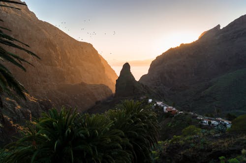 Green Mountains at Golden Hour