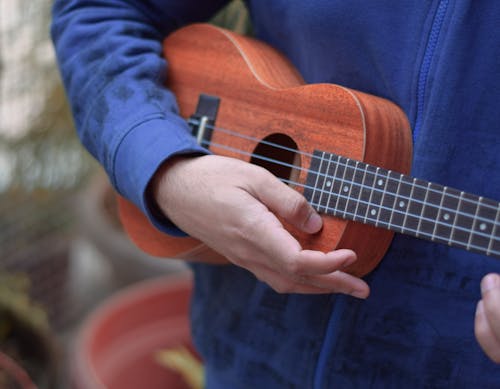 Ảnh lưu trữ miễn phí về Âm nhạc, chơi đàn ghita, đàn ukulele