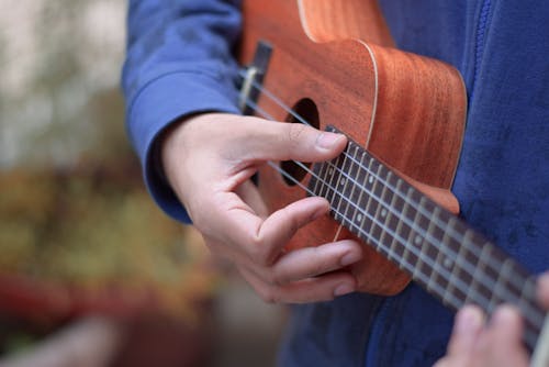 Person in Blue Long Sleeve Shirt Playing Brown Ukulele