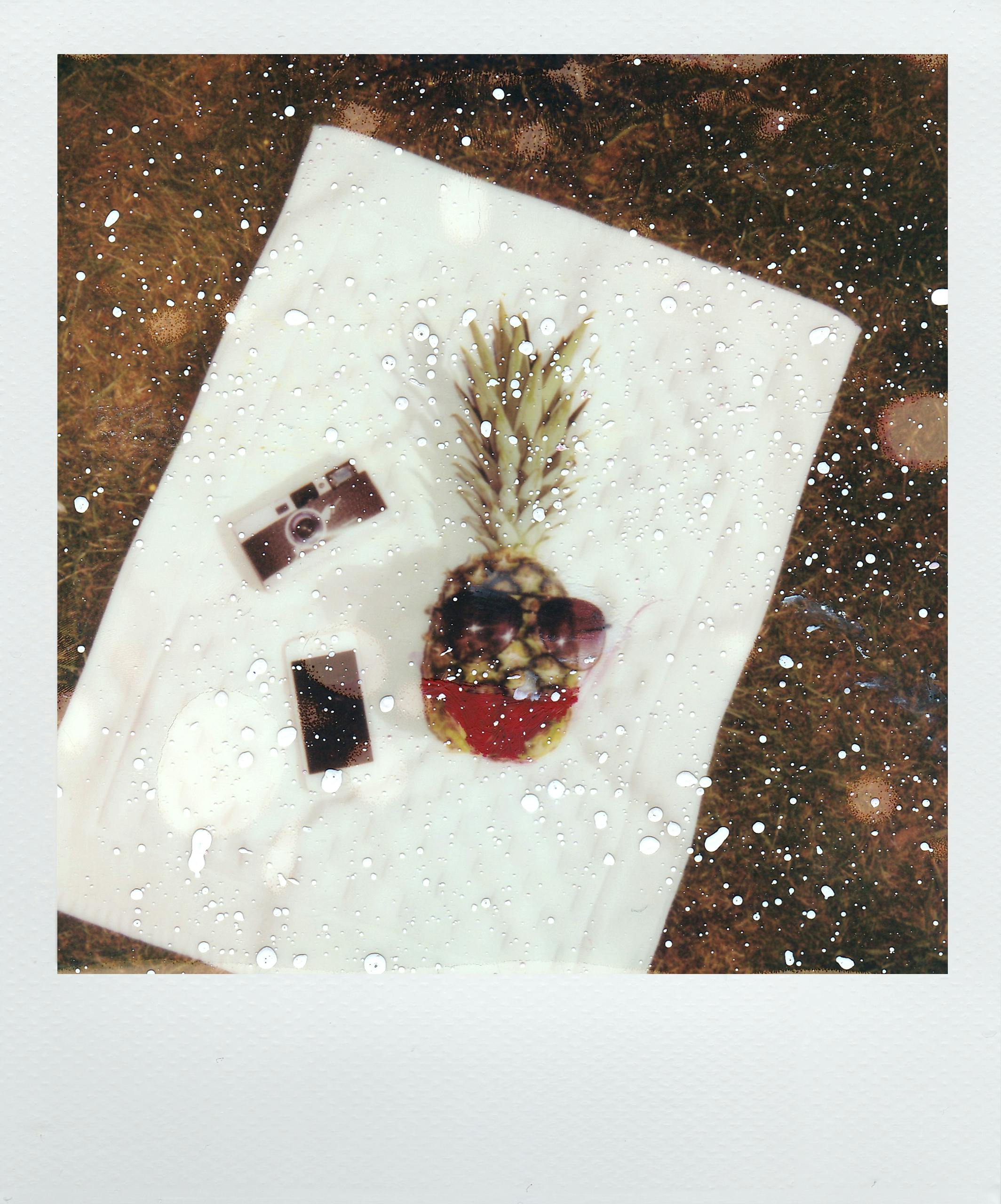 Artistic vintage-style picnic scene with pineapple, old camera, and polaroid effect.