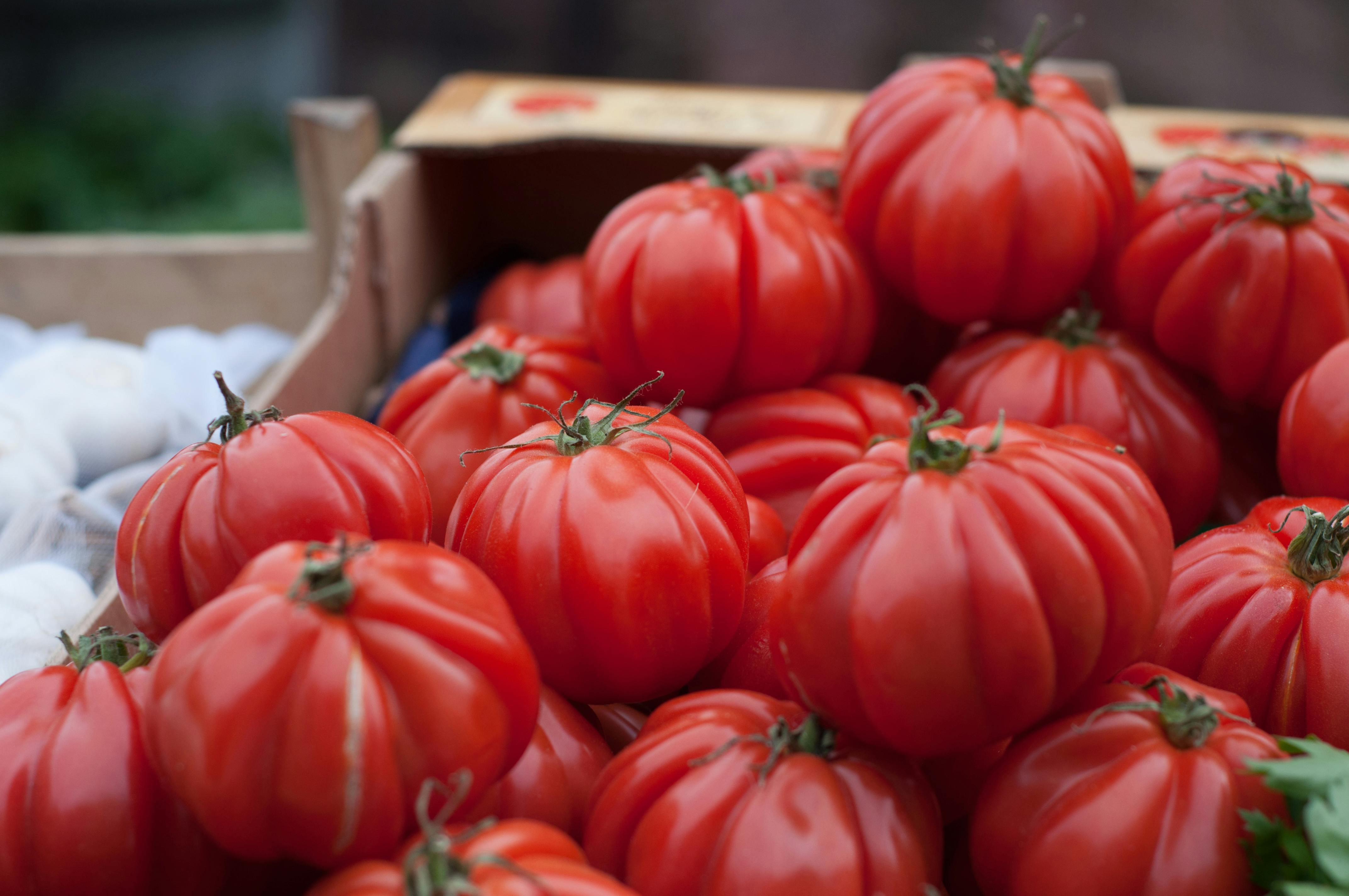 Bunch Of Red Tomatoes · Free Stock Photo