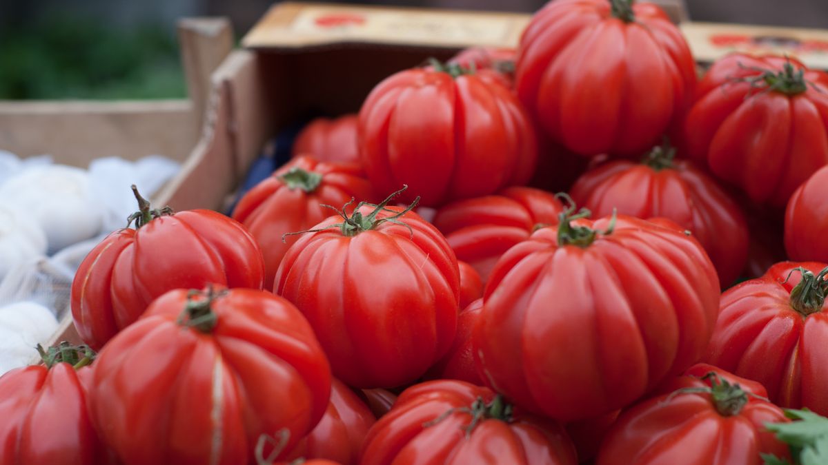 Comment préparer des repas équilibrés avec des produits locaux en été 2026 - illustration