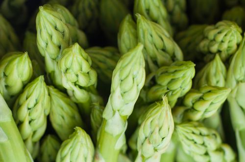 Free A vibrant close-up of fresh green asparagus spears capturing natural texture and freshness. Stock Photo