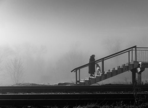 Free Black and white photo of a senior woman with a dog ascending a foggy outdoor staircase in Dnipro. Stock Photo