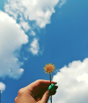 一只精致的蜻蜓矗立在明亮的蓝天中，云层散落