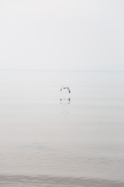 A solitary seagull gracefully flying over a tranquil sea with a serene atmosphere.