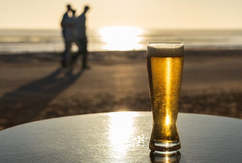 Ảnh lưu trữ miễn phí về abendsonne, bier, biere