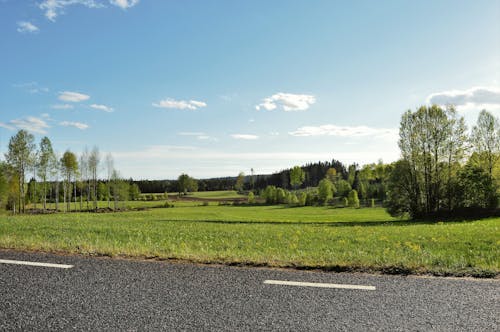 スウェーデン, フィールド, 夏の無料の写真素材