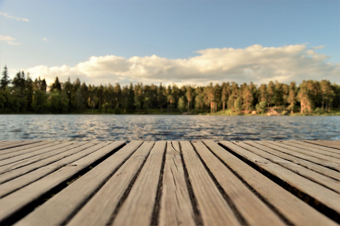 Ilmainen kuvapankkikuva tunnisteilla aamu, aurinko, aurinkoinen