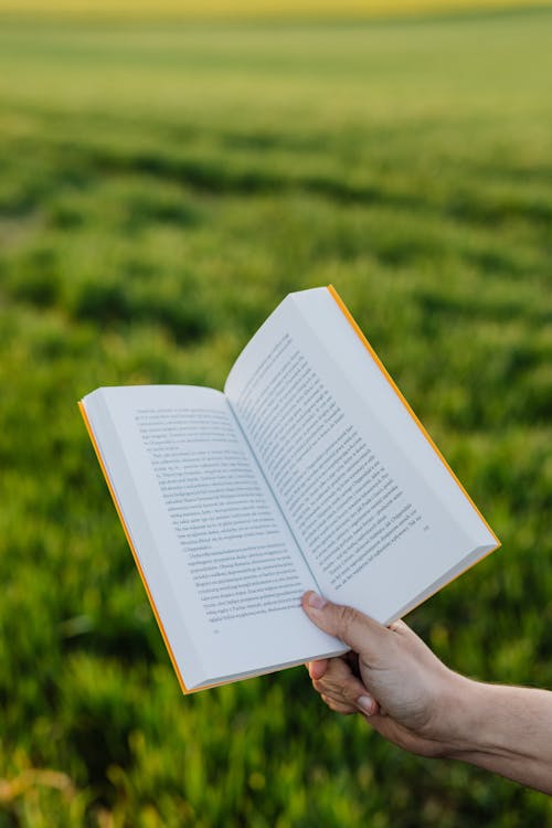 Free Crop person with book in green field Stock Photo