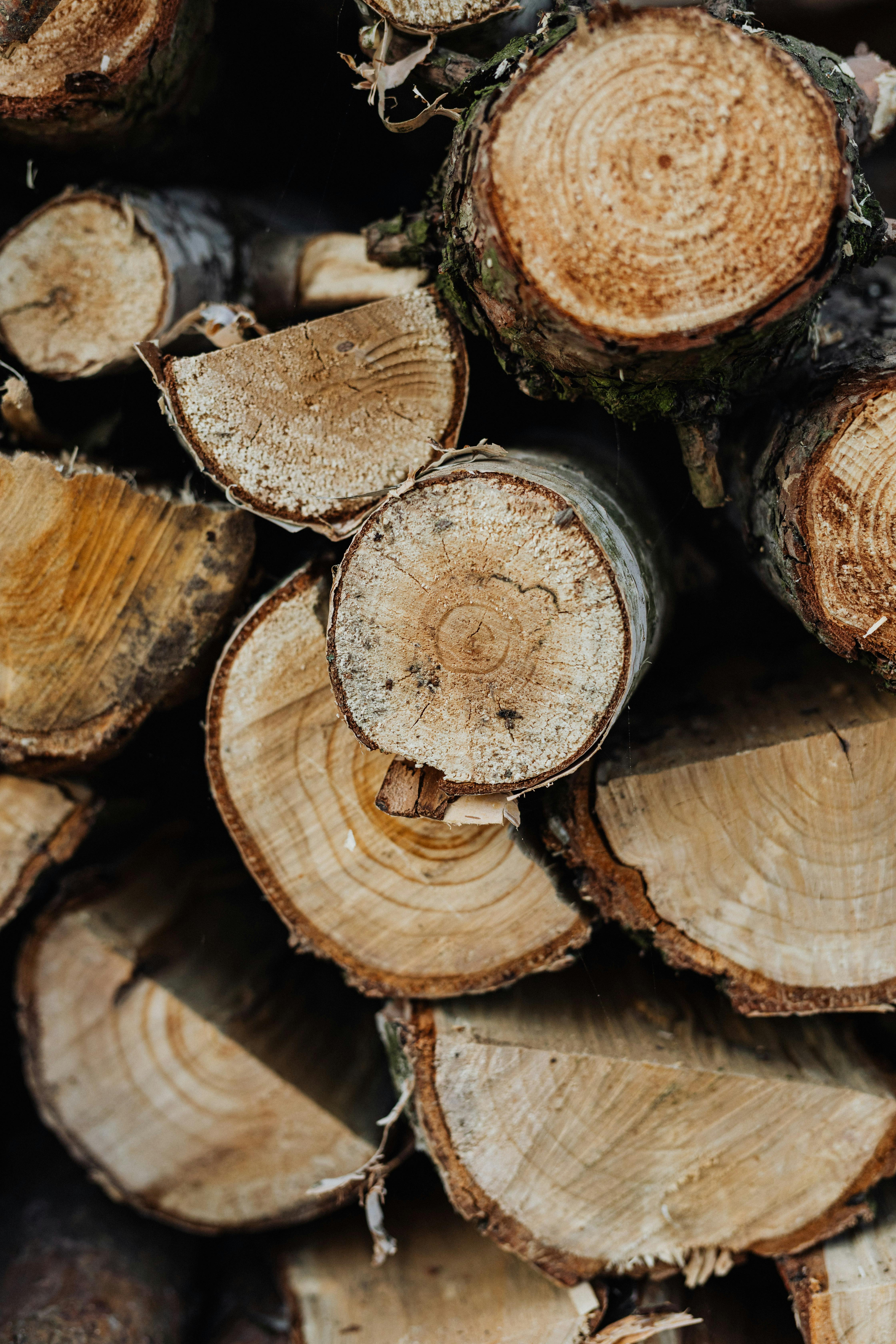 Cum pregătești lemnele pentru foc după metode tradiționale