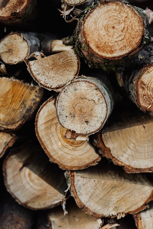 Free Stack of wood in countryside Stock Photo