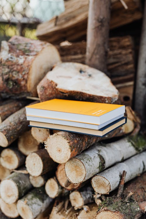 Fotobanka s bezplatnými fotkami na tému literatúra, nasekané drevo, navŕšená kopa