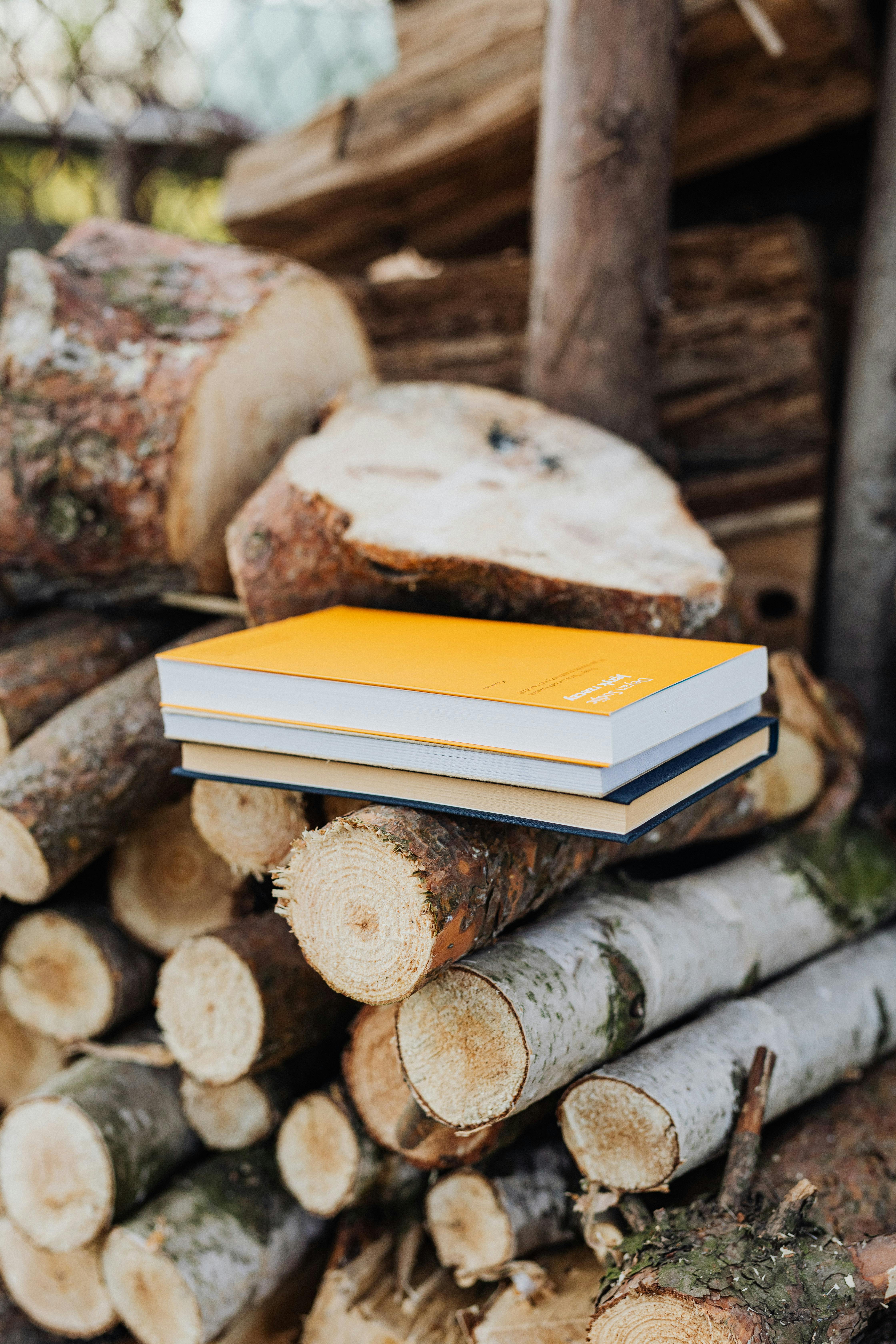 Small stack of books placed on fuelwood pile \u00b7 Free Stock Photo