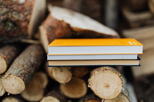 Books placed on edge of freshly prepared woodpile in backyard of countryside house