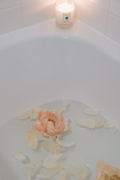 Free 
Pink Flower Floating on Bathtub  Stock Photo