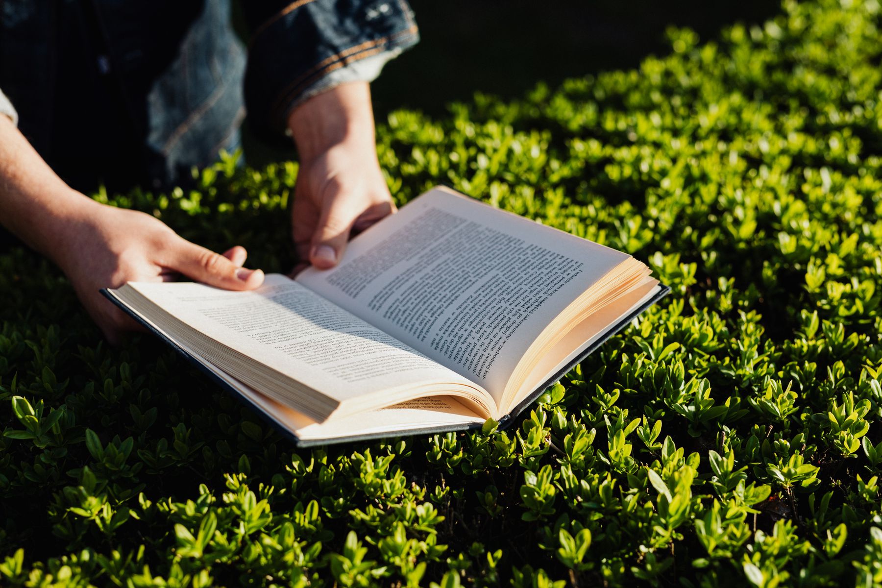 Reading on a Budget: A Weekend of Free and Low-Cost Things to Do