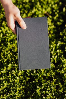 阳光明媚的日子里，公园的草坪翠绿，一个无脸学生手里拿着黑色日记站在那里