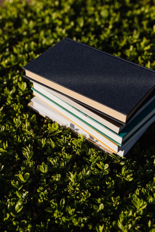 Stack of Books on Green Grass