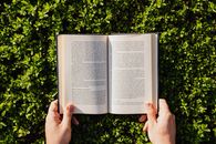 Overhead view of crop unrecognizable person reading book on fresh green park lawn in bright sunlight in summer