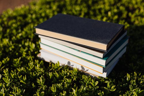 Free Stack of Books on Green Grass Stock Photo