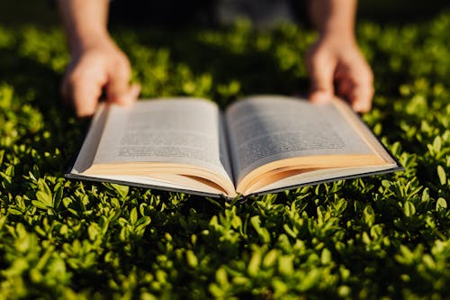 Crop anonymous person enjoying plot of captivating book while resting on fresh green grass in sunlit park