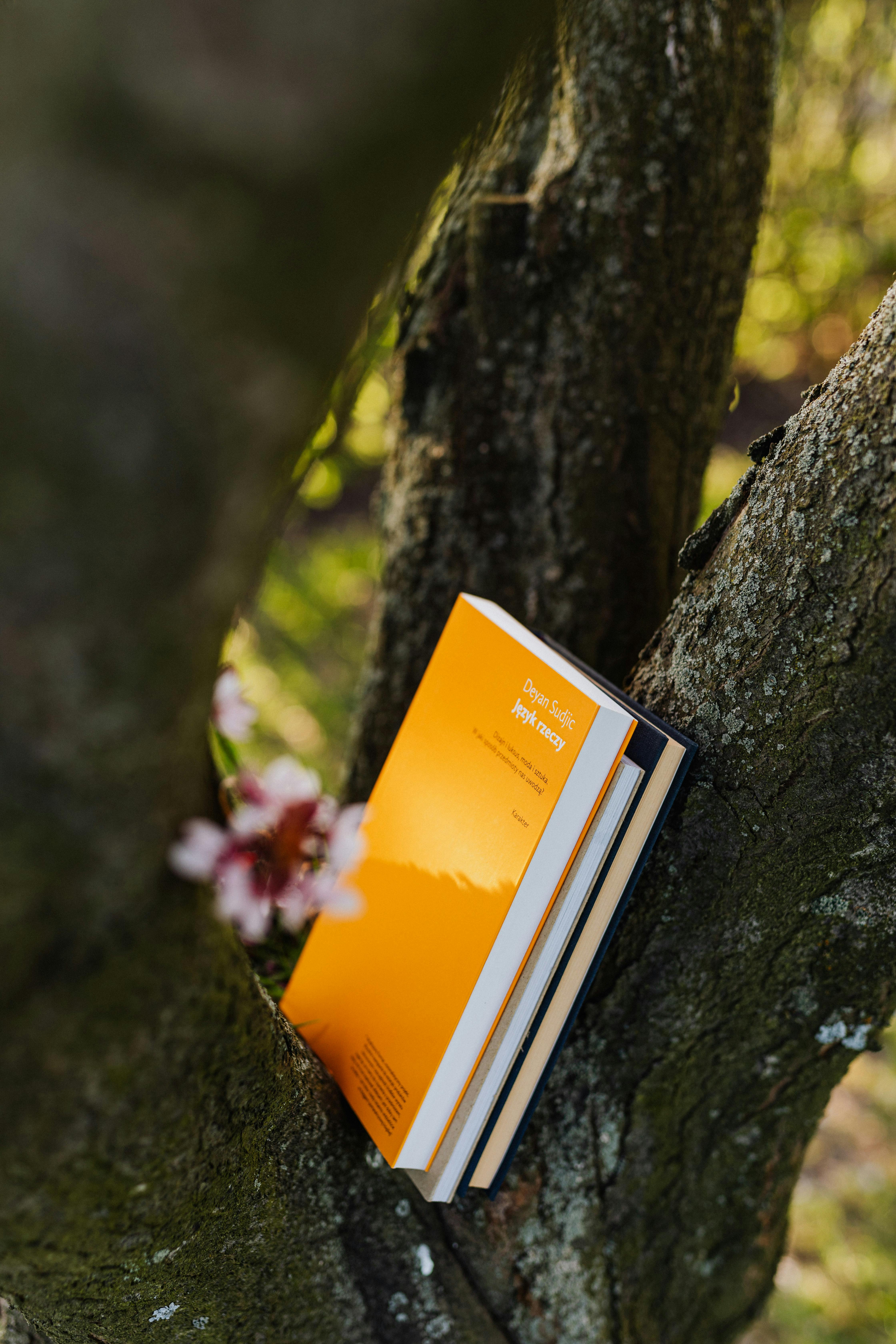 books between gray branches of flowering tree in spring park