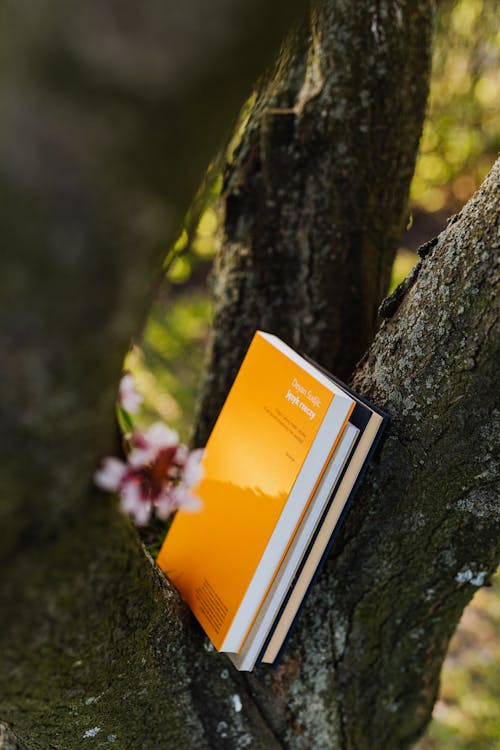 Books between gray branches of flowering tree in spring park
