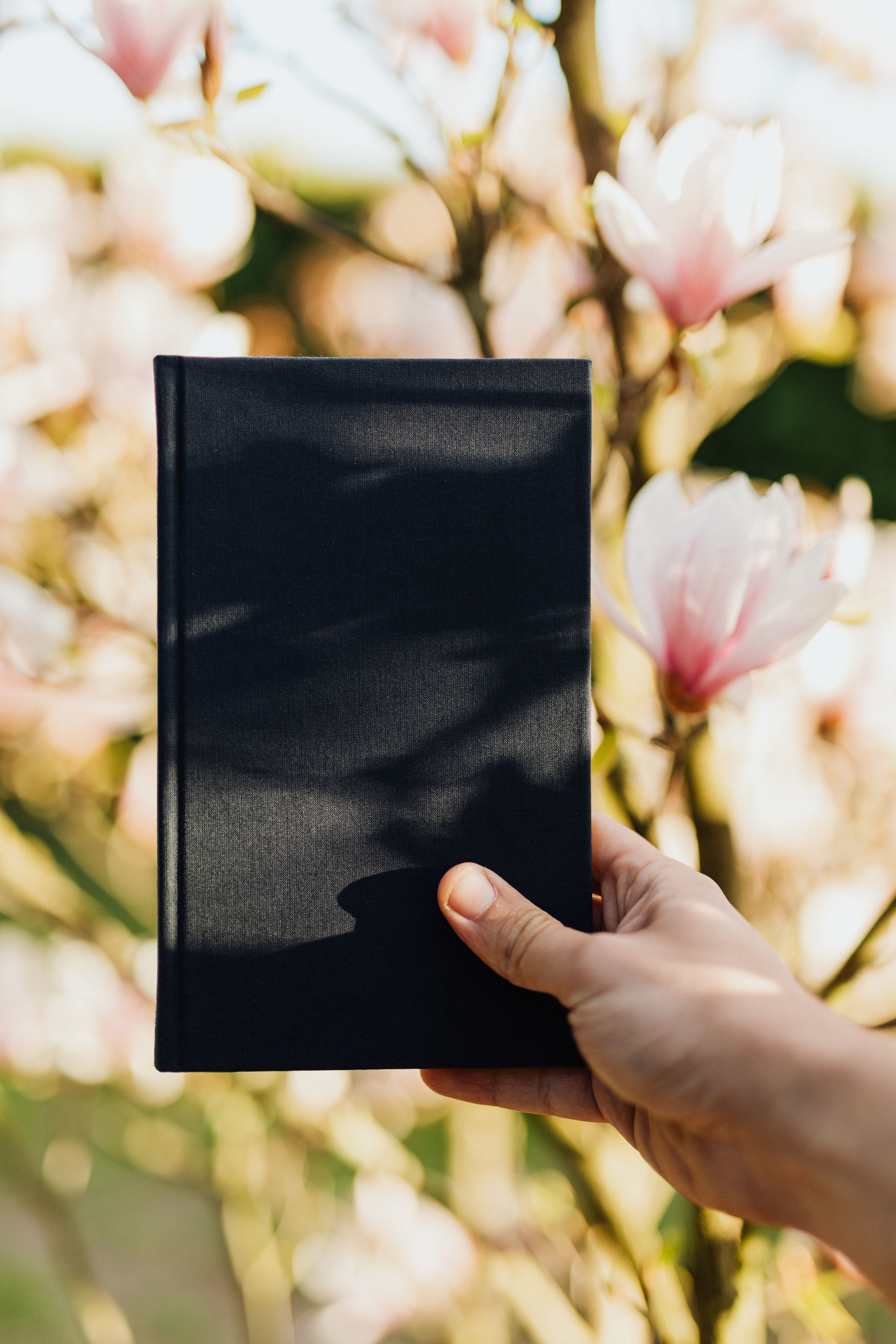 A hand holding a black hardback notebook against pink blossom