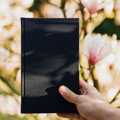 A hand holding a black hardback notebook against pink blossom